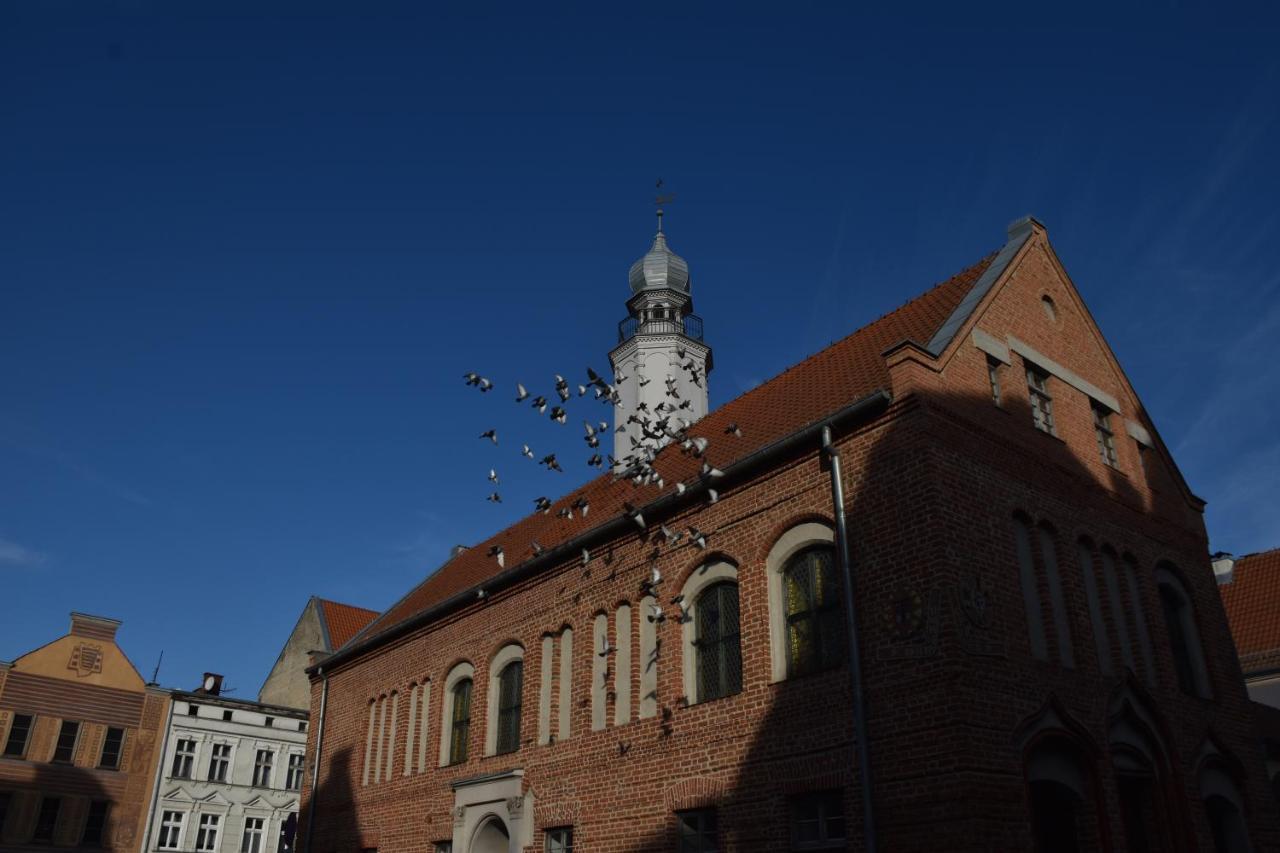 Copernicus Prestige Appartamento